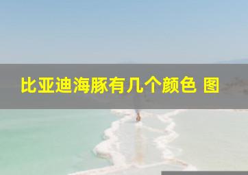 比亚迪海豚有几个颜色 图